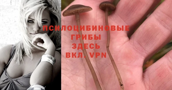 а пвп мука Балахна