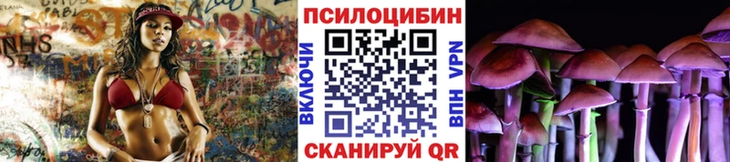 Псилоцибиновые грибы GOLDEN TEACHER  кракен   Юрьев-Польский 
